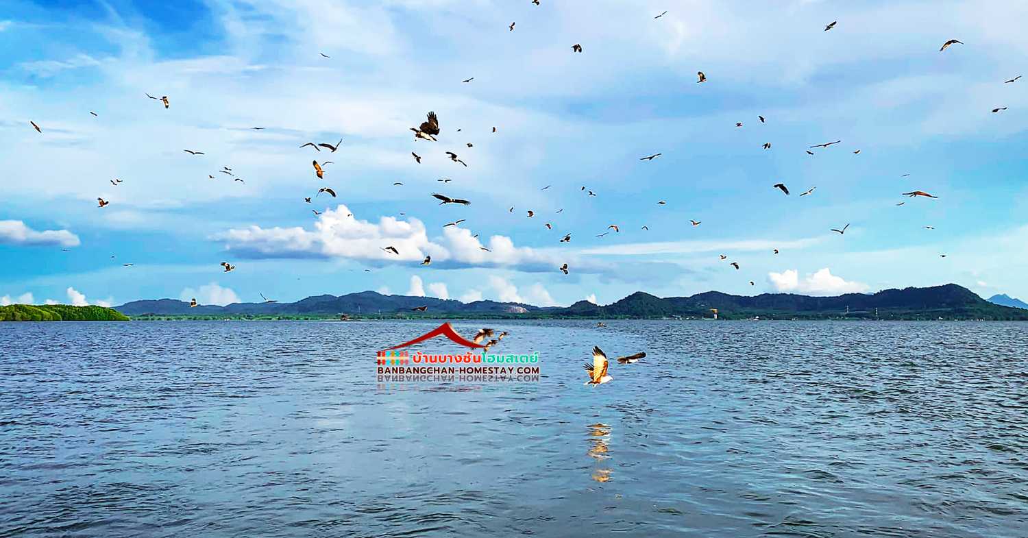 บ้านบางชัน โฮมสเตย์ หมู่บ้านไร้แผ่นดิน (BanBangChan Homestay)